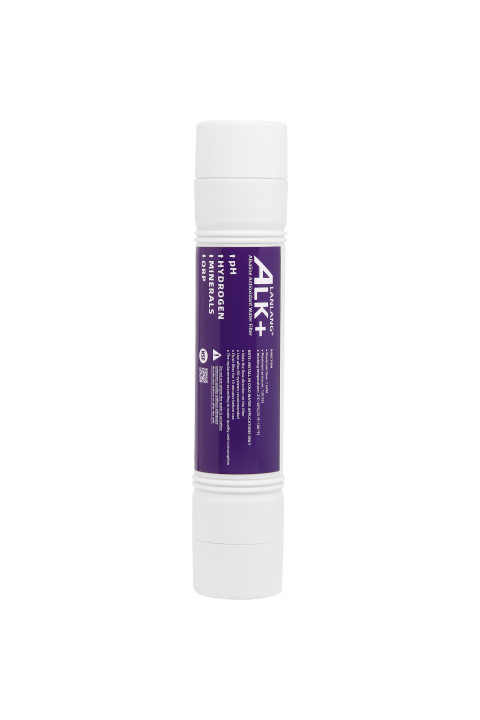Alkaline antioxidant postfilter cartridge