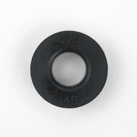 WS1 DLFC 075 äravoolu piiraja