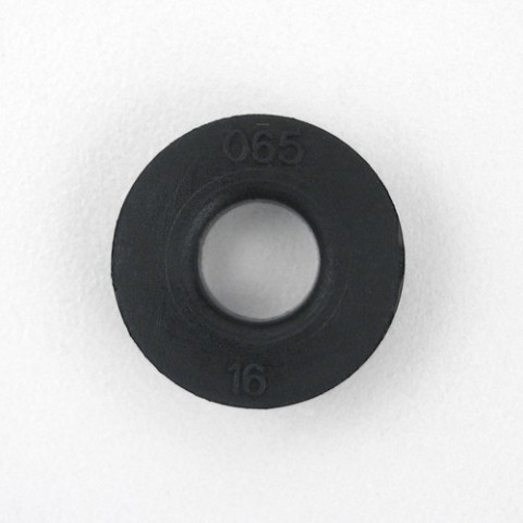 WS1 DLFC 065 äravoolu piiraja