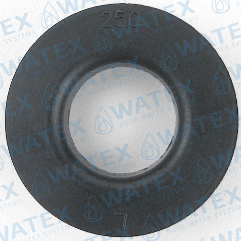 WS1 DLFC 250 (1”) äravoolu piiraja